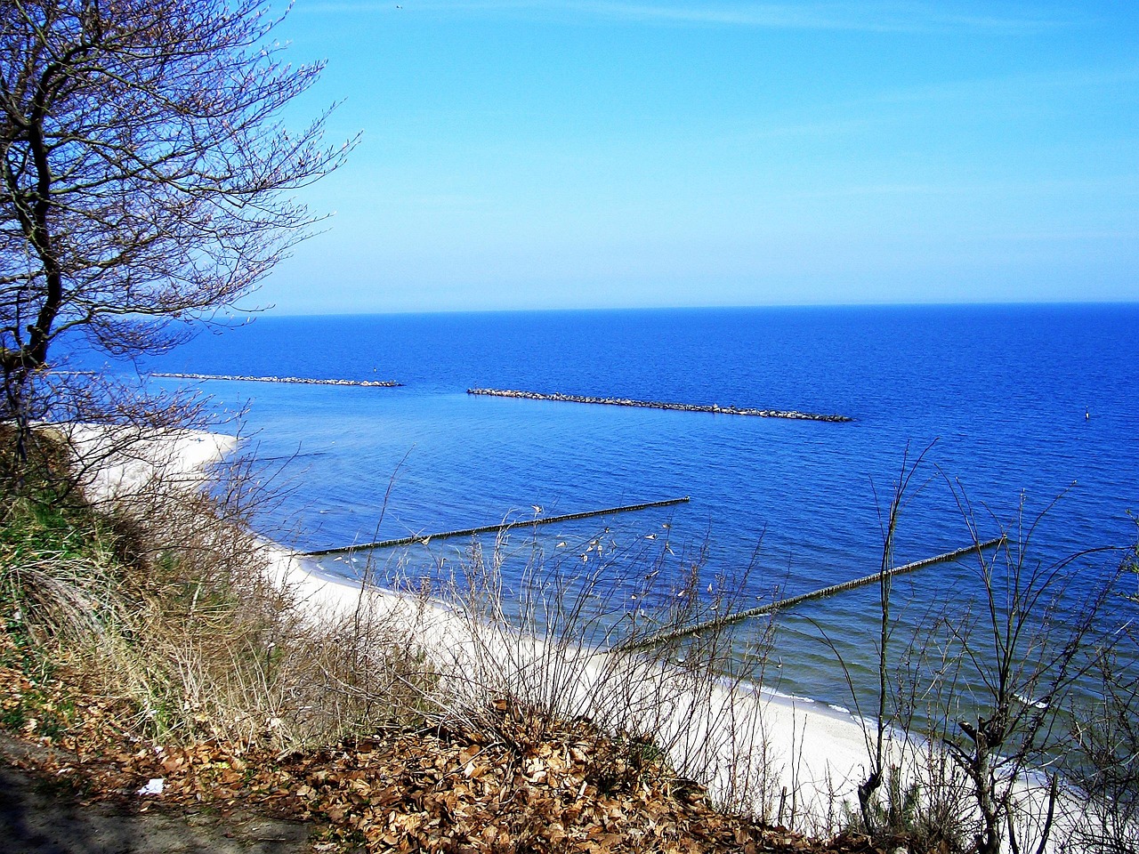 Blick vom Küstenwald auf den Ostseestrand von Usedom mit Sand, Buhnen und herbstlichem Laub